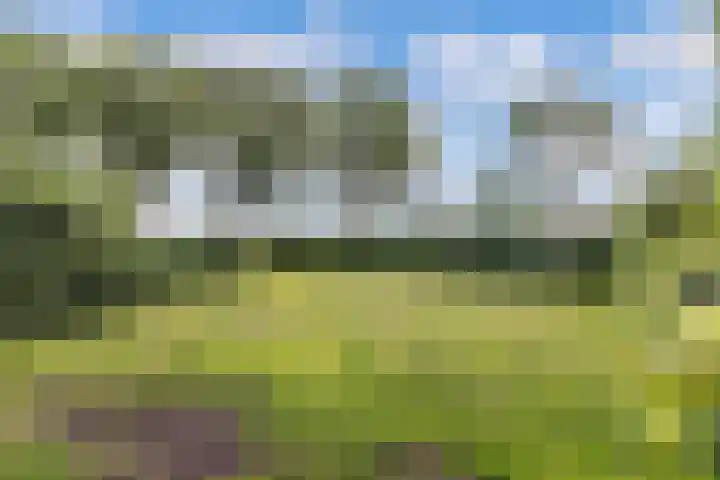 Waterstaete 2 Ossenzijl thumbnail 42