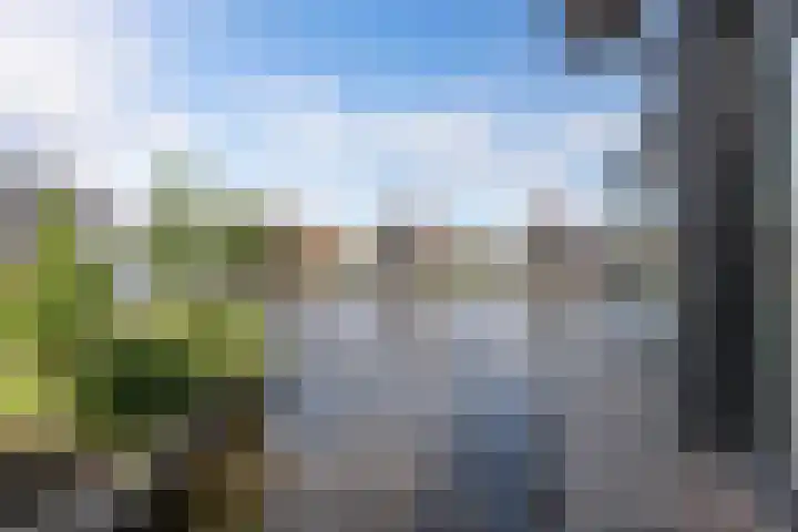 Waterstaete 2 Ossenzijl thumbnail 44