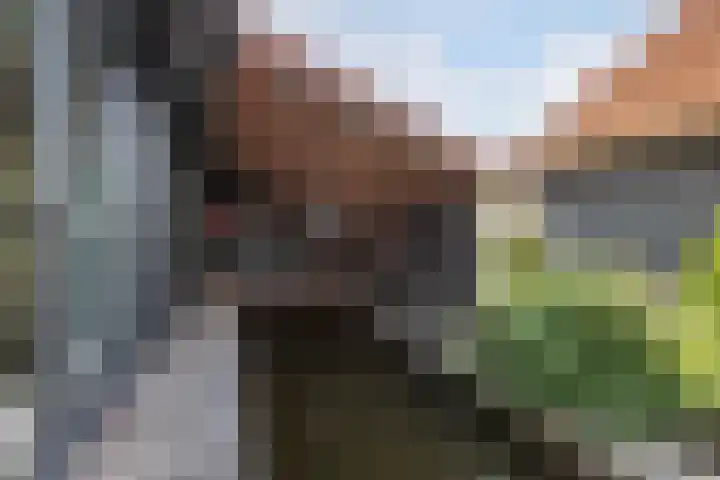 Waterstaete 2 Ossenzijl thumbnail 45