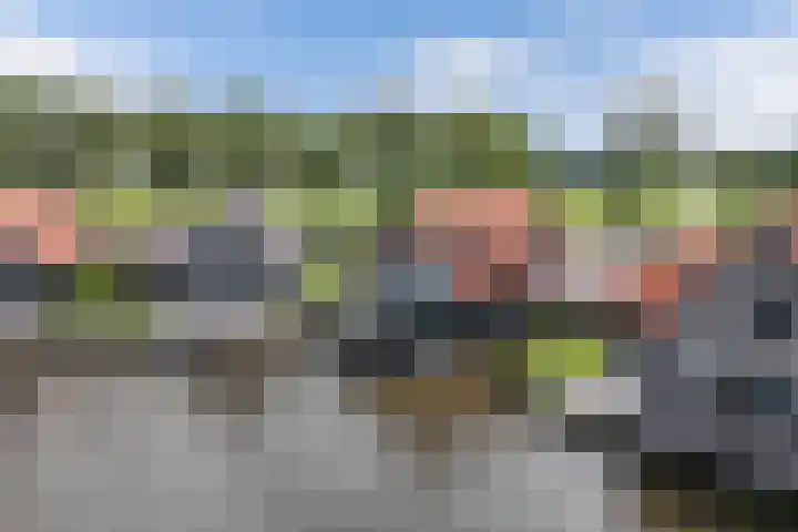 Waterstaete 2 Ossenzijl thumbnail 49