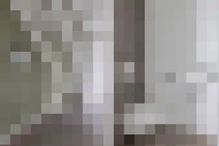 Waterstaete 2 Ossenzijl thumbnail 5