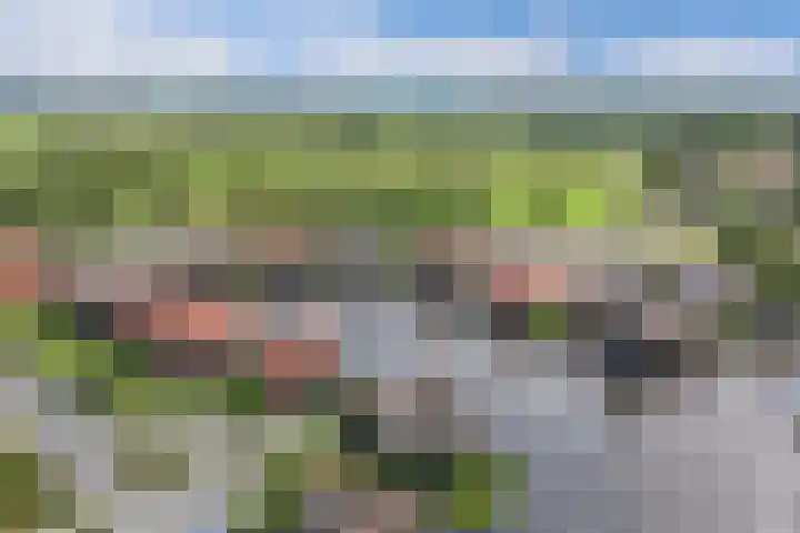 Waterstaete 2 Ossenzijl thumbnail 50