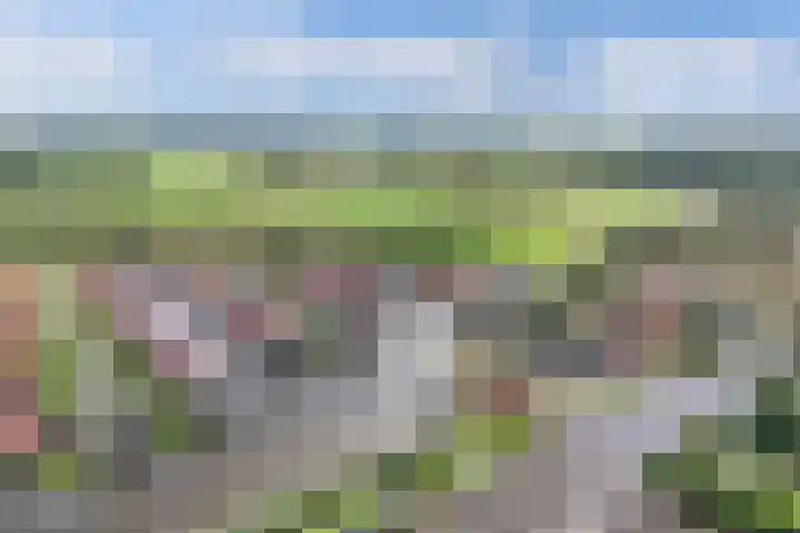 Waterstaete 2 Ossenzijl thumbnail 51