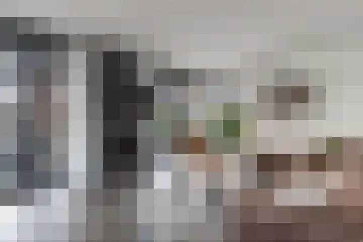 Waterstaete 2 Ossenzijl thumbnail 6