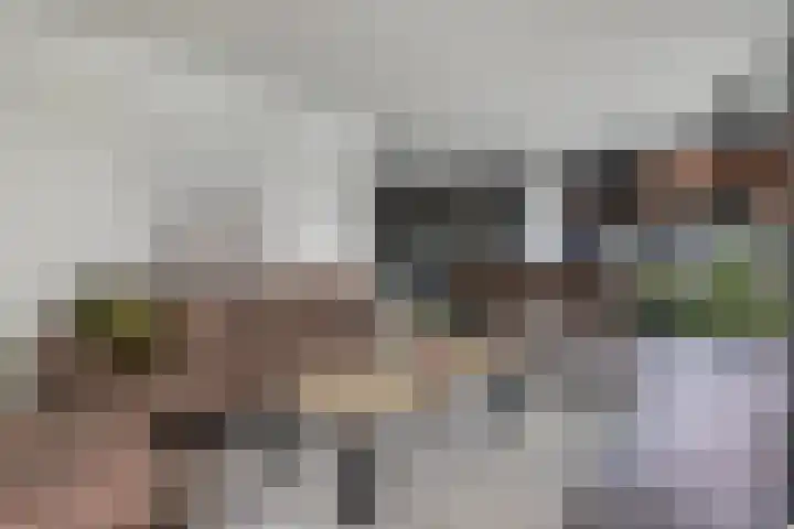 Waterstaete 2 Ossenzijl thumbnail 7