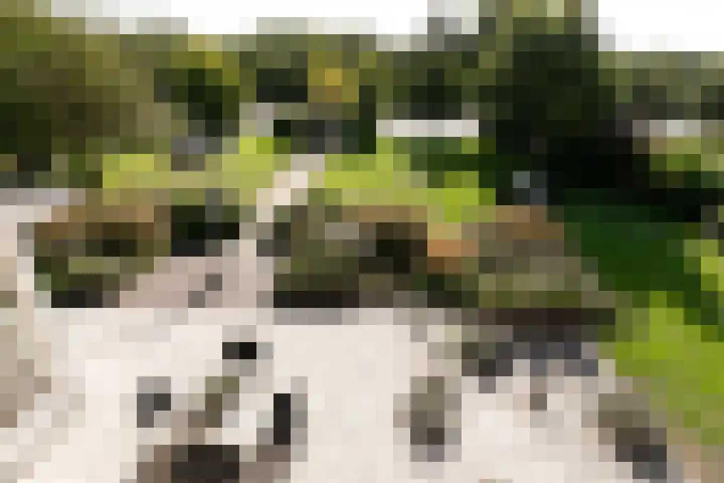 Waterstaete 2 Zwaanshoek thumbnail 37