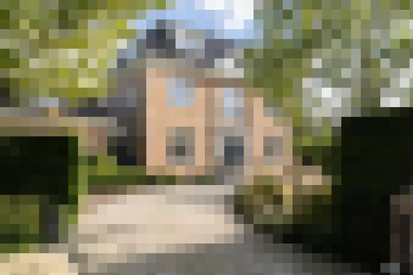 Waterstaete 2 Zwaanshoek thumbnail 4