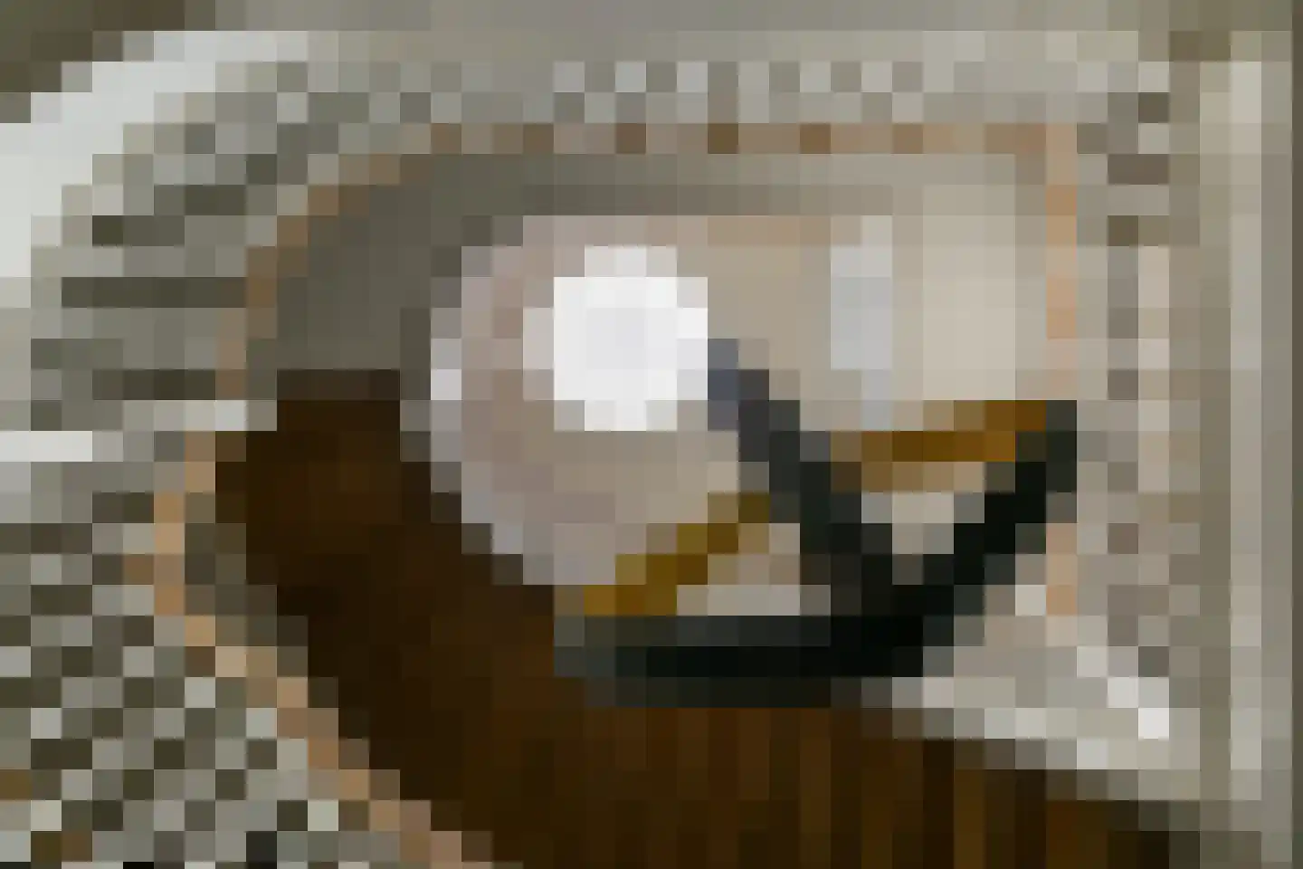 Waterstaete 2 Zwaanshoek thumbnail 6