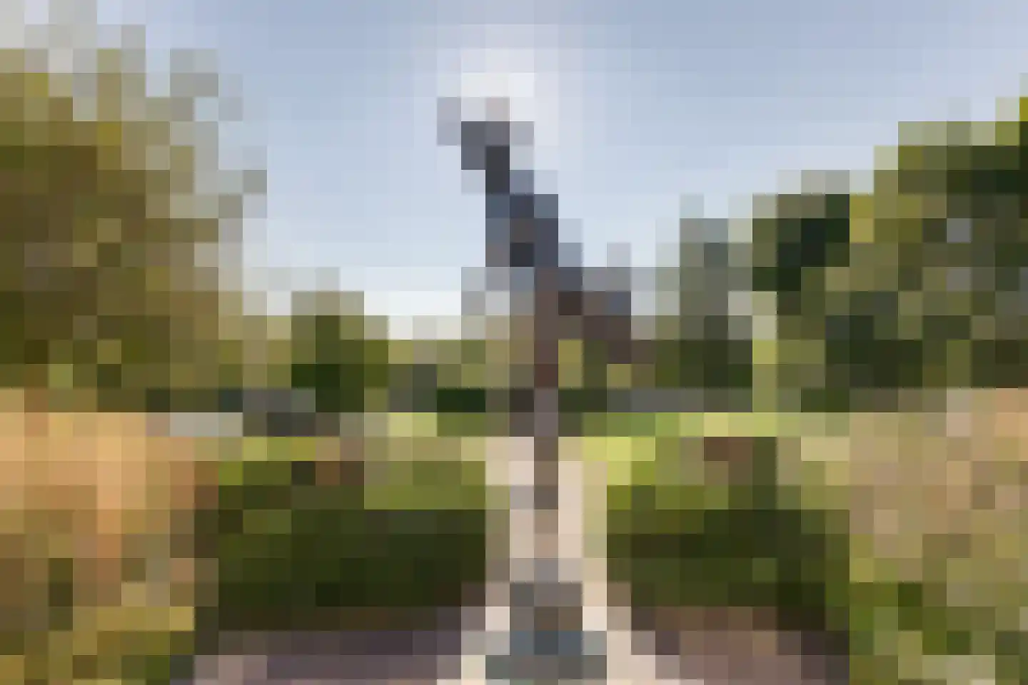 Waterstaete 2 Zwaanshoek thumbnail 62
