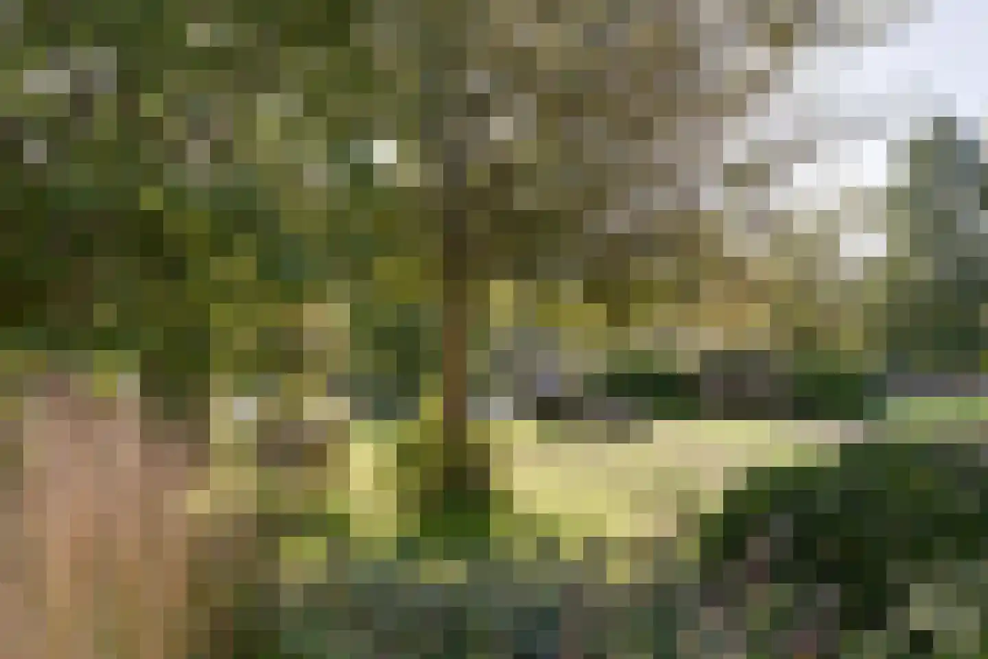 Waterstaete 2 Zwaanshoek thumbnail 63