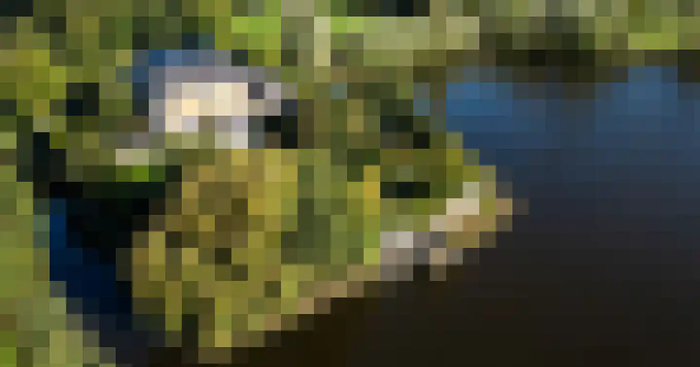Waterstaete 2 Zwaanshoek thumbnail 71