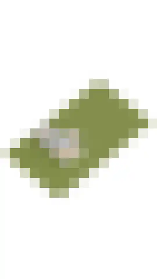 Waterstaete 2 Zwaanshoek thumbnail 83