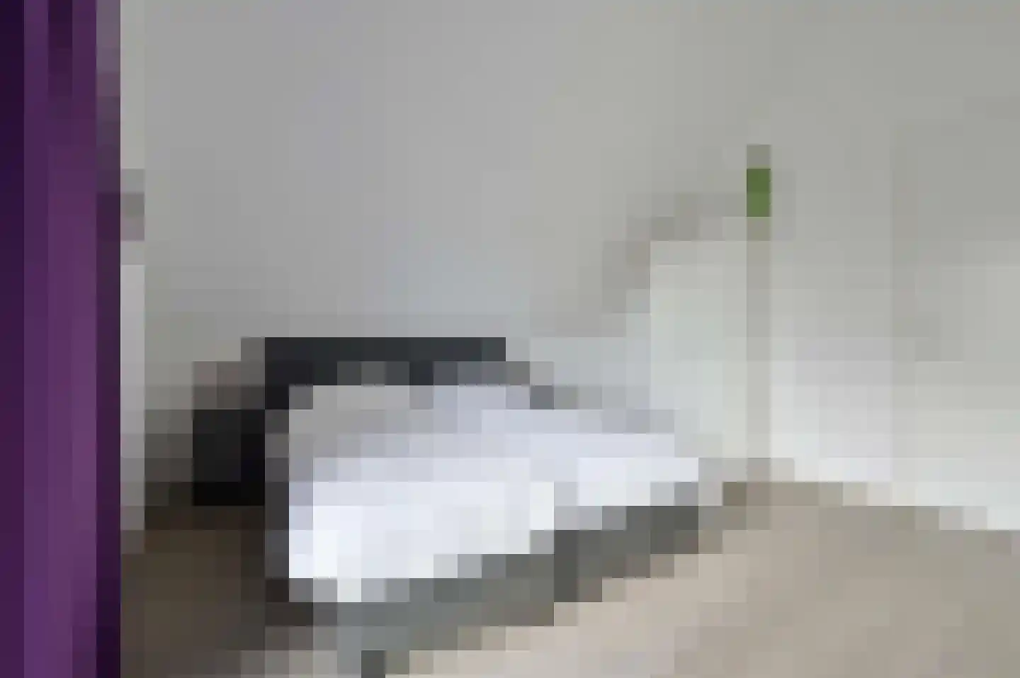 Waterstaete 37 Ossenzijl thumbnail 15