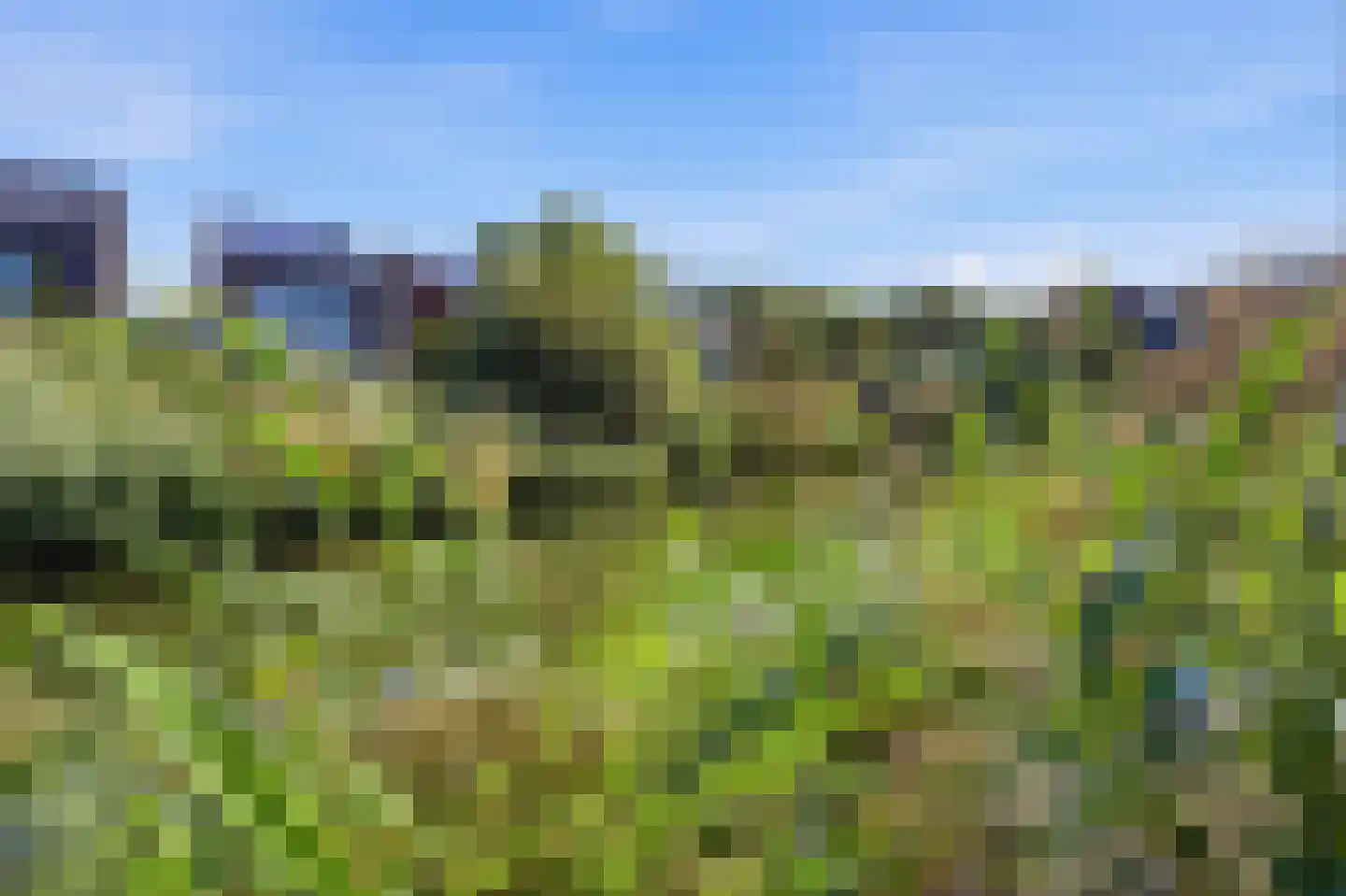 Waterstede 106 Maarssen thumbnail 26