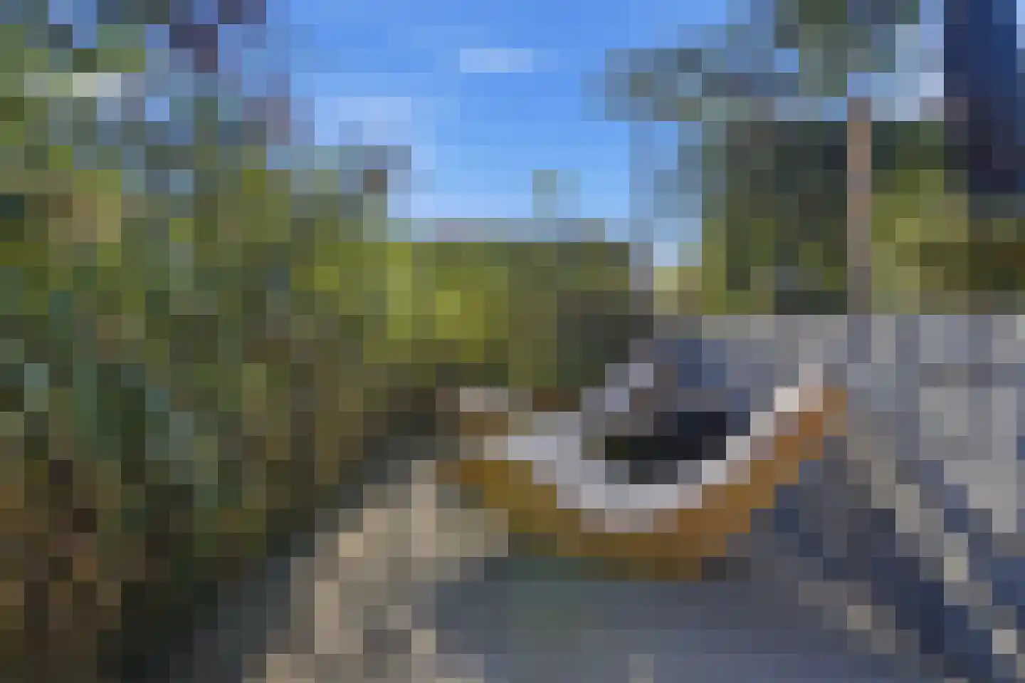 Waterstede 106 Maarssen thumbnail 27