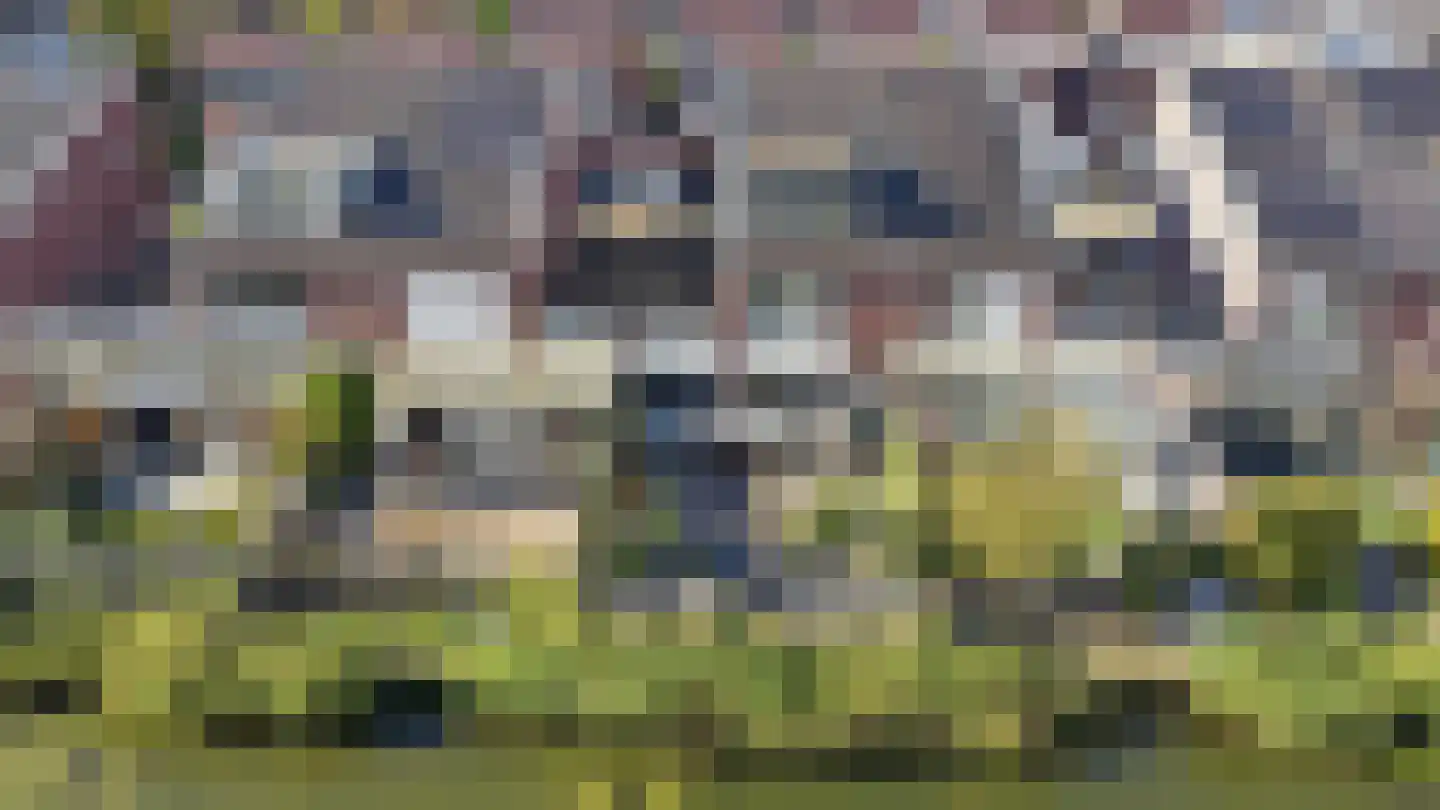 Waterstede 106 Maarssen thumbnail 58
