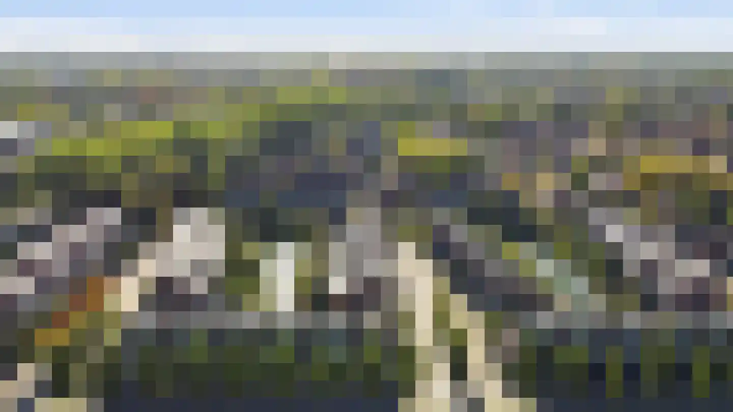 Waterstede 106 Maarssen thumbnail 61