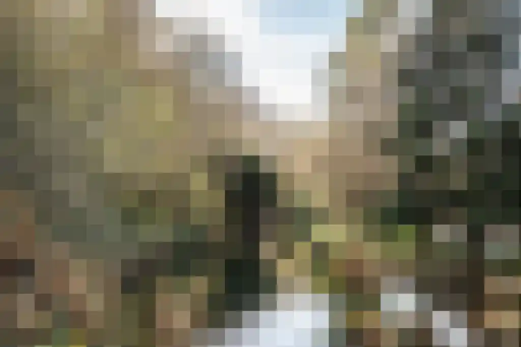 Waterstede 123 Maarssen thumbnail 38