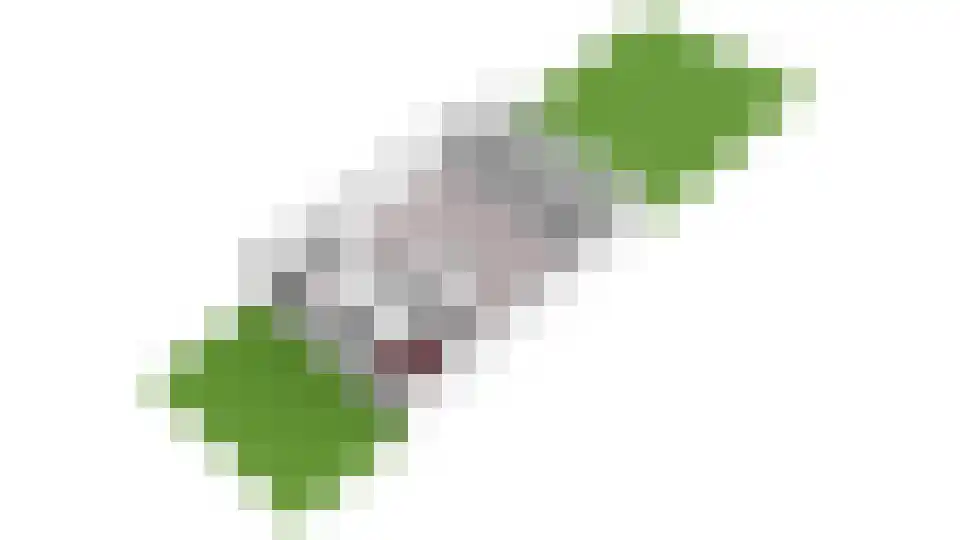 Waterstede 123 Maarssen thumbnail 47