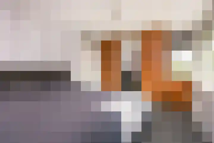 Waterstede 75 Maarssen thumbnail 16