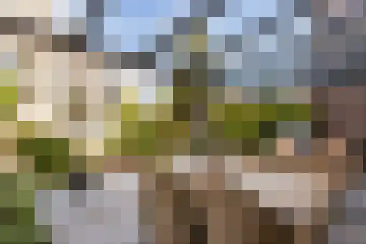 Waterstede 75 Maarssen thumbnail 29
