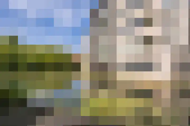 Waterstede 75 Maarssen thumbnail 34