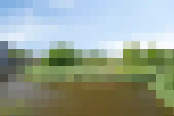 Watersteeg 3 Amersfoort thumbnail 4