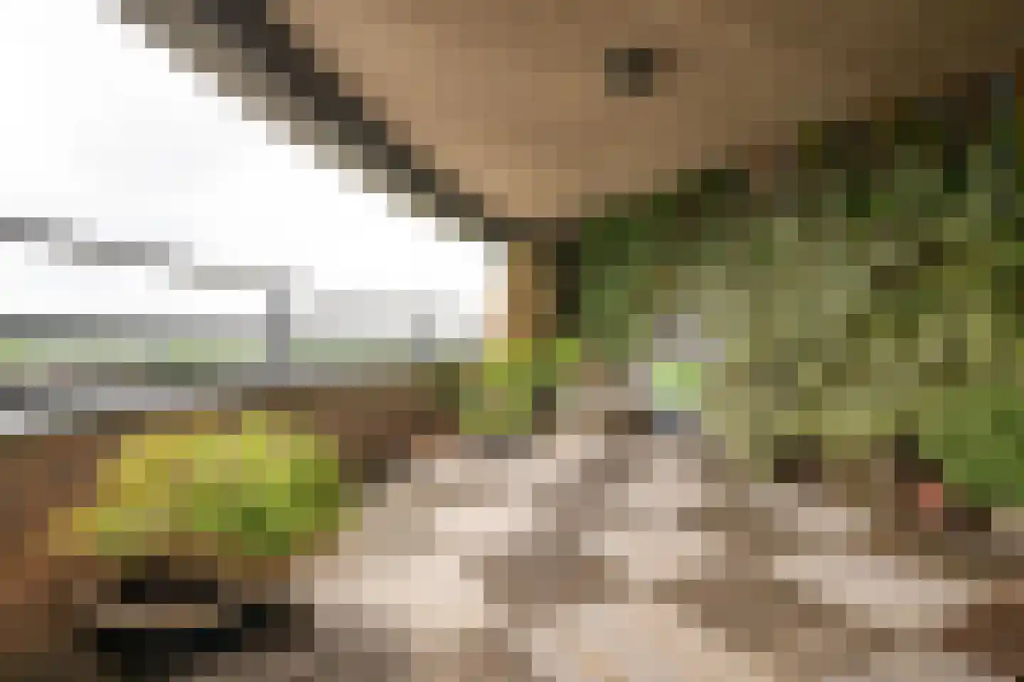 Watersteeg 49 Amersfoort thumbnail 10