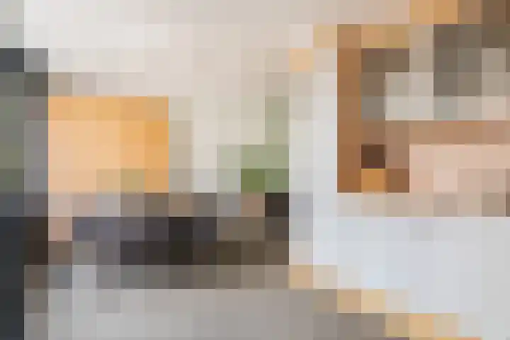 Waterstoep 23 Kamerik thumbnail 15