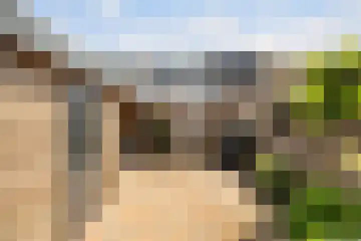 Waterstoep 23 Kamerik thumbnail 18