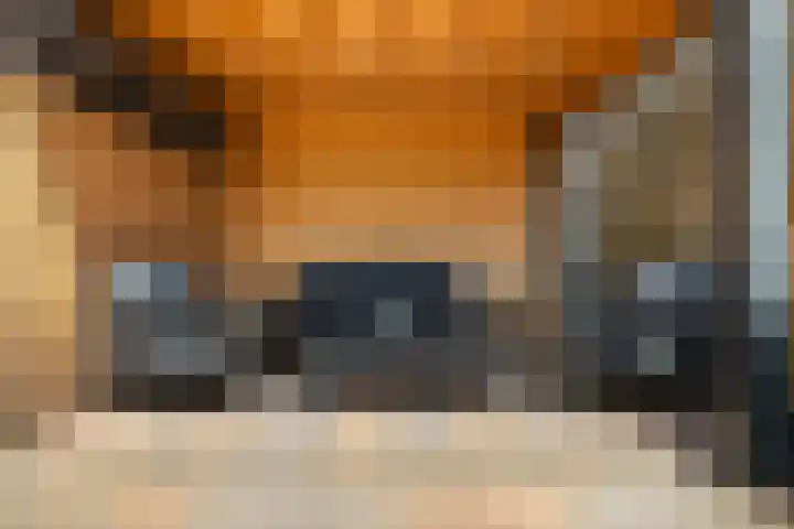 Waterstoep 23 Kamerik thumbnail 19