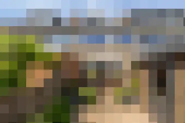 Waterstoep 23 Kamerik thumbnail 21