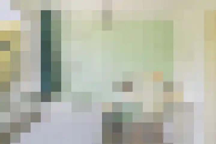 Waterstoep 23 Kamerik thumbnail 31