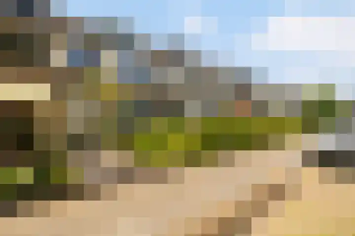 Waterstoep 23 Kamerik thumbnail 4