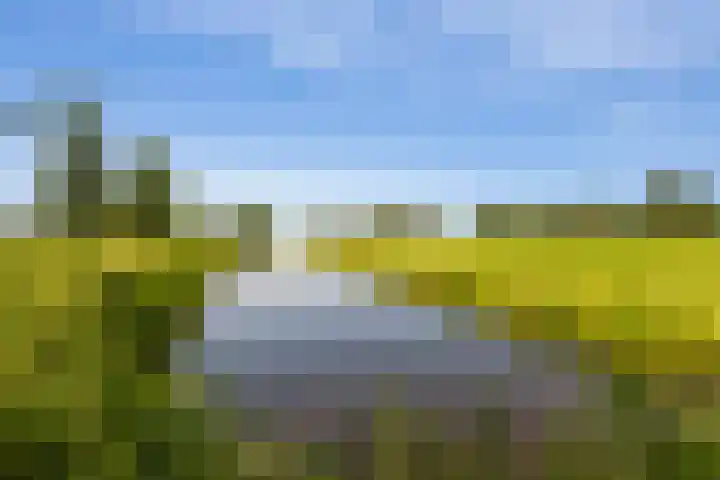 Waterstoep 23 Kamerik thumbnail 40