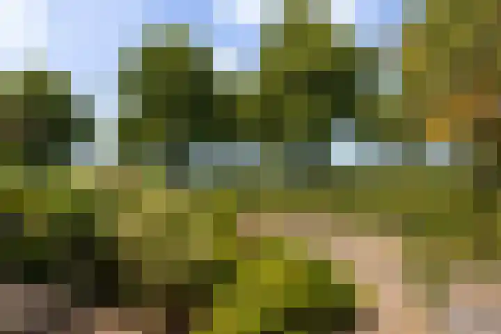 Waterstoep 23 Kamerik thumbnail 41