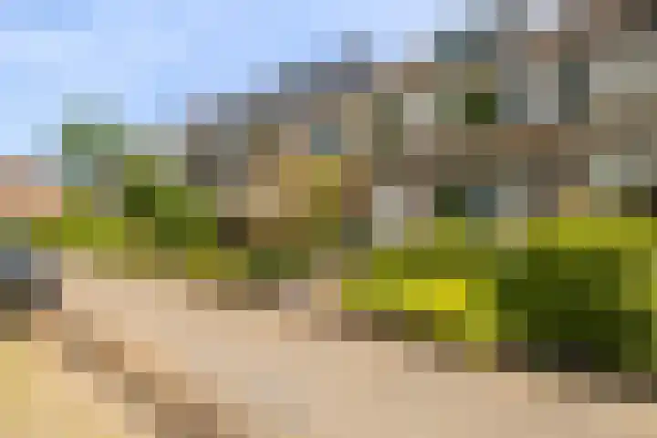 Waterstoep 23 Kamerik thumbnail 43