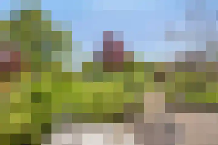 Waterstraat 1 c Wijhe thumbnail 34