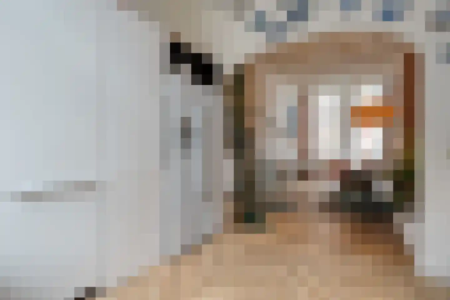 Waterstraat 1 Zwolle thumbnail 21