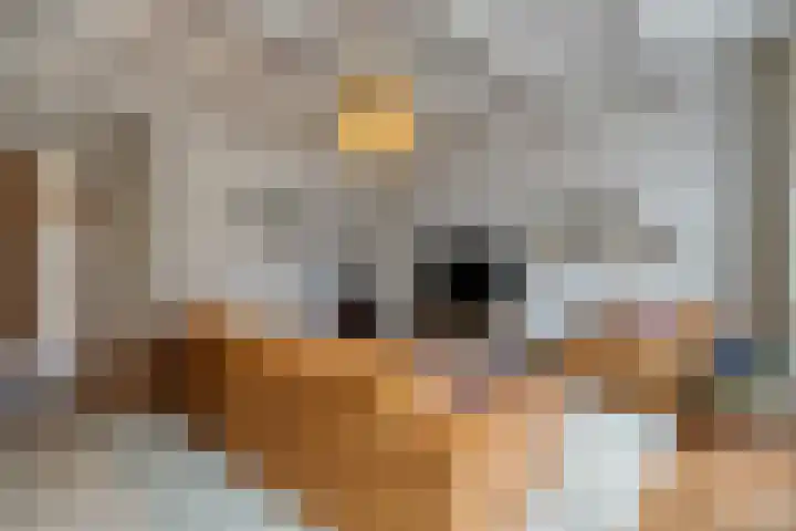 Waterstraat 1 Zwolle thumbnail 30