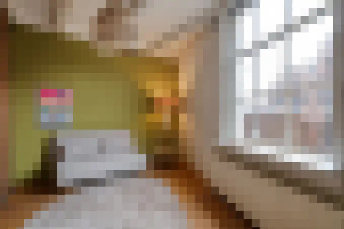 Waterstraat 1 Zwolle thumbnail 34