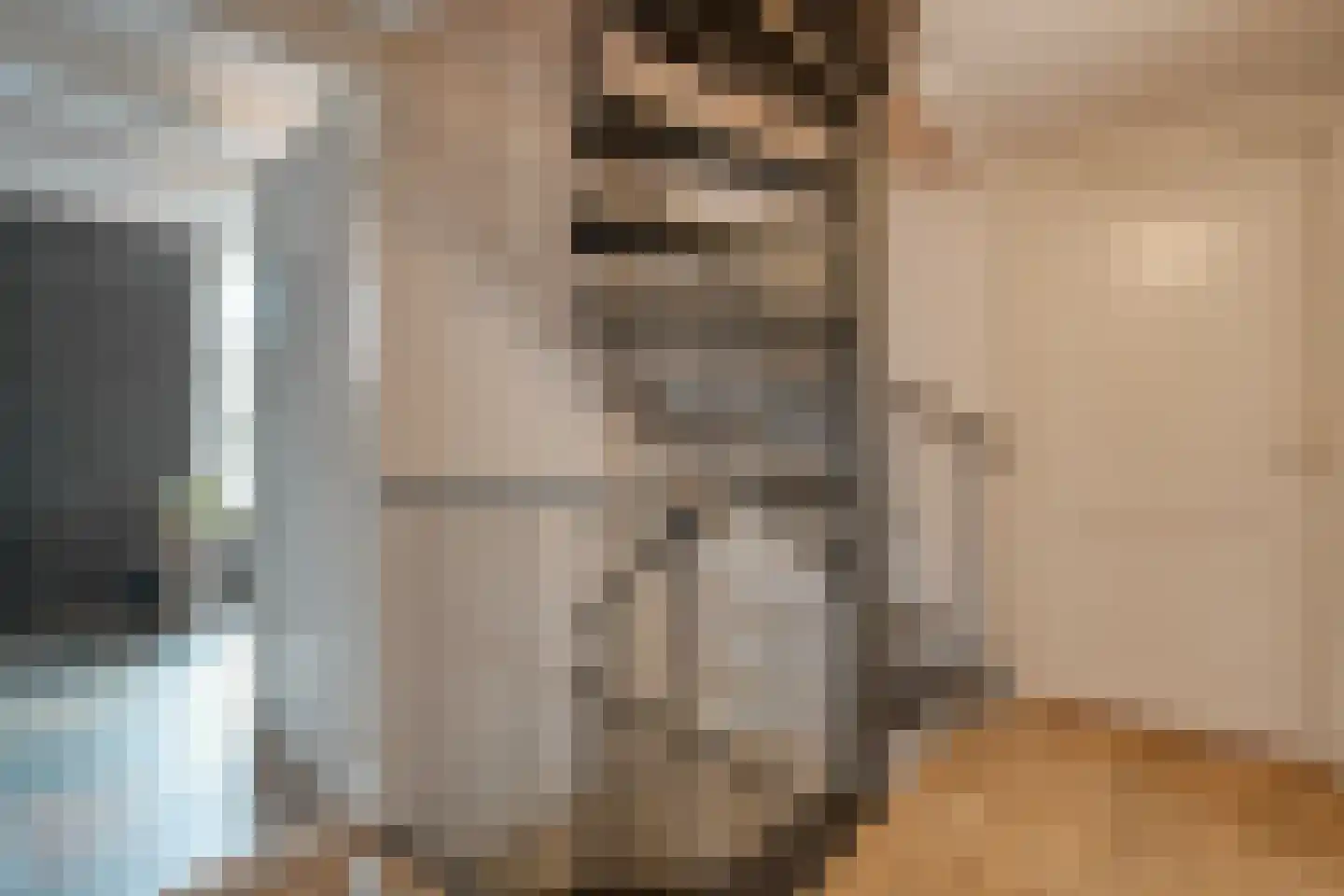 Waterstraat 1 Zwolle thumbnail 37