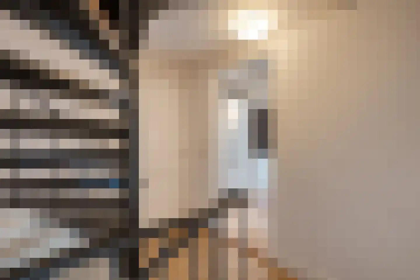 Waterstraat 1 Zwolle thumbnail 39