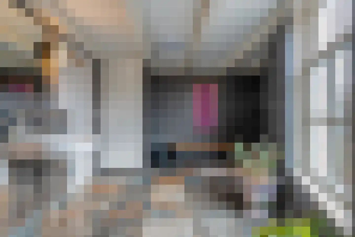Waterstraat 1 Zwolle thumbnail 45