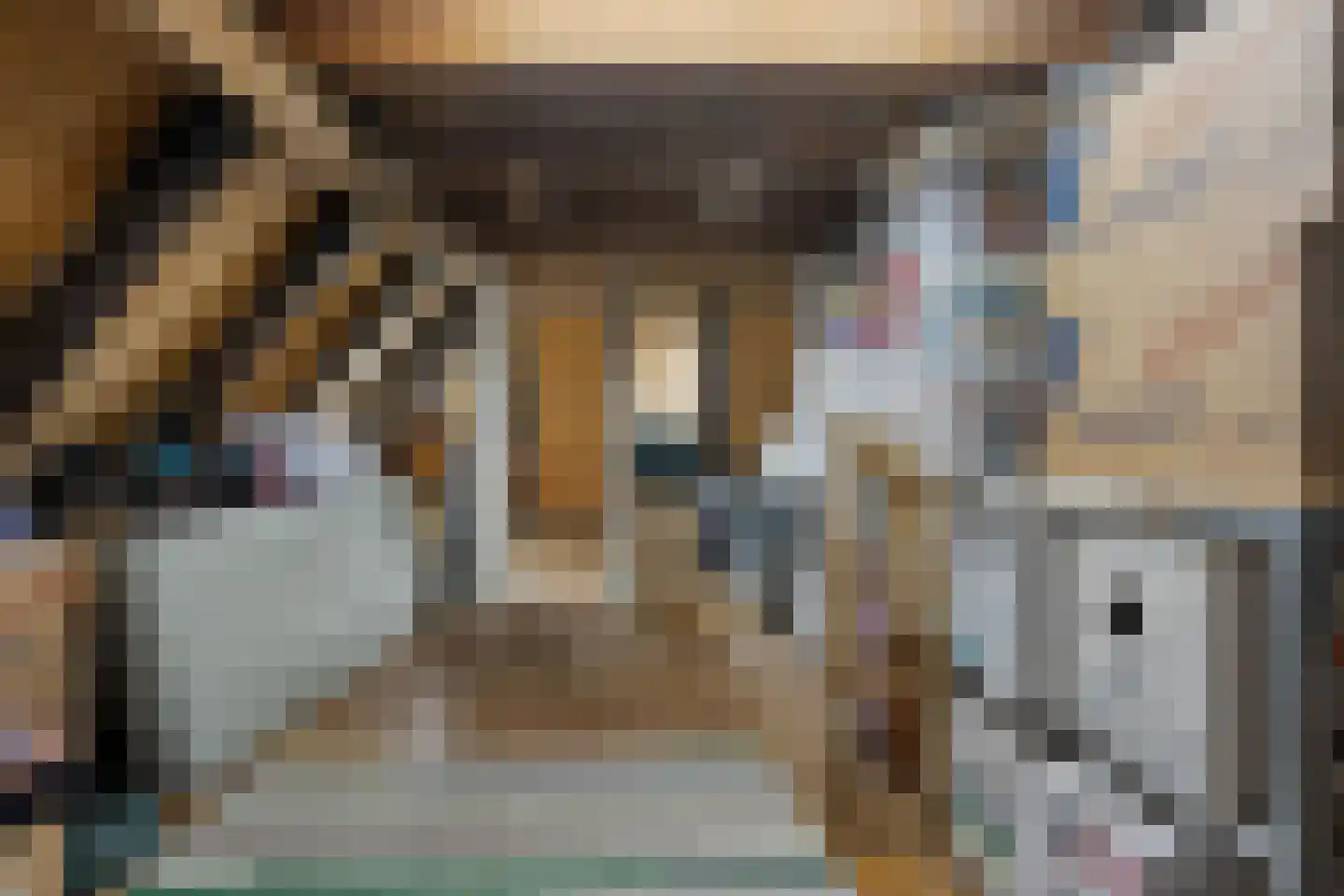 Waterstraat 1 Zwolle thumbnail 57