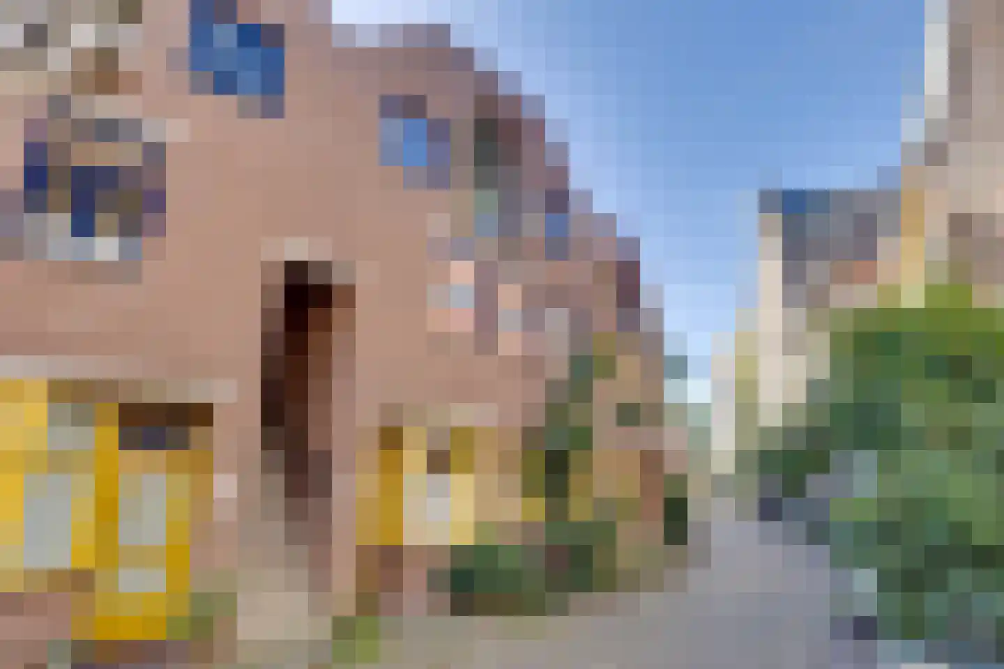 Waterstraat 10 A Zwolle thumbnail 43