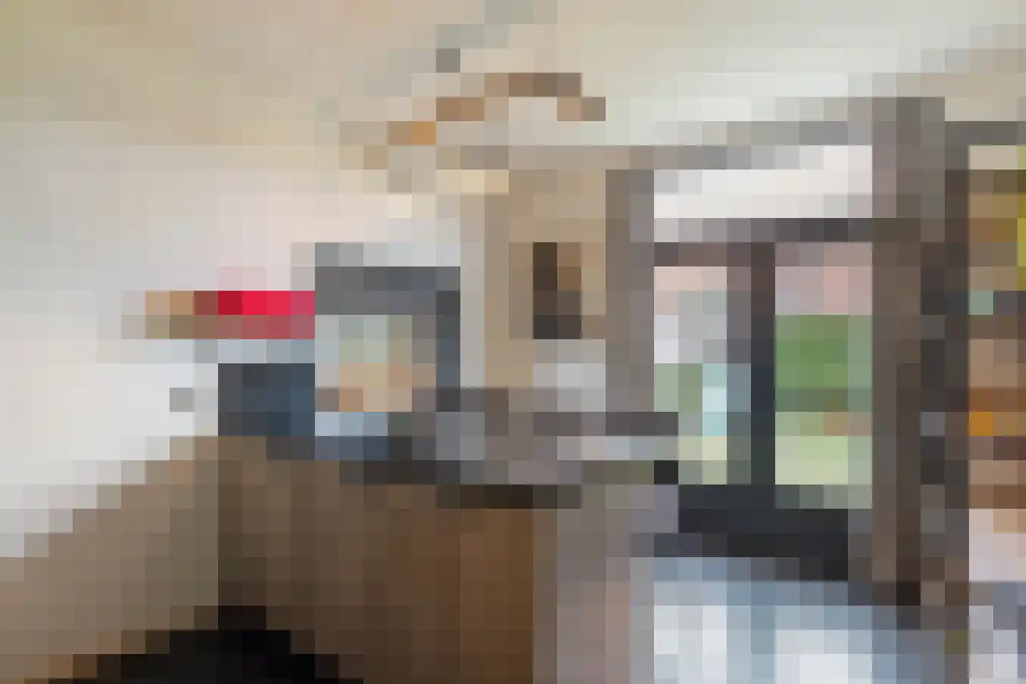 Waterstraat 10 Wijhe thumbnail 11