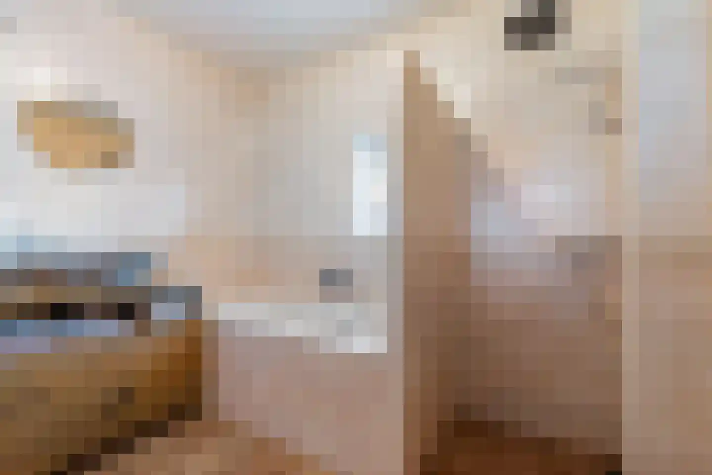 Waterstraat 10 Wijhe thumbnail 15
