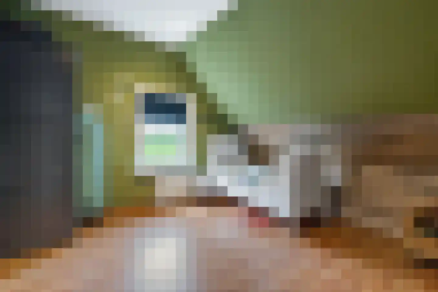 Waterstraat 10 Wijhe thumbnail 23