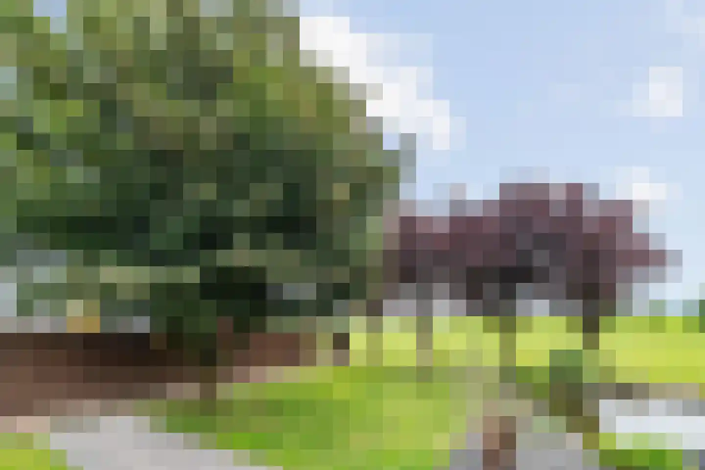 Waterstraat 10 Wijhe thumbnail 50